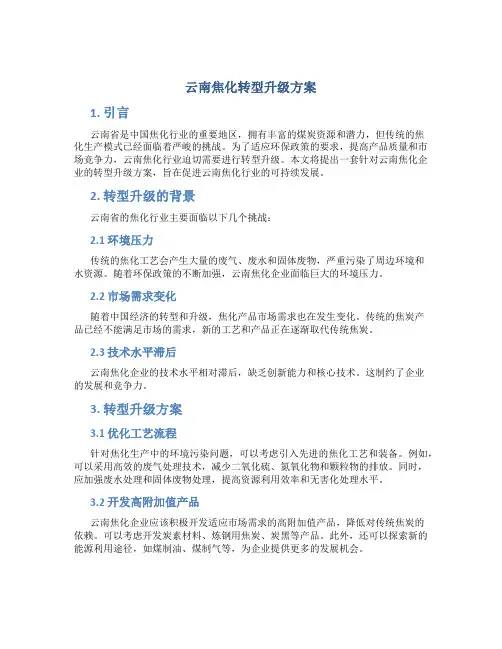 云南焦化转型升级方案