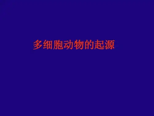 02 多细胞动物的起源