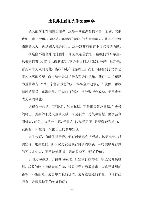 成长路上的阳光作文800字
