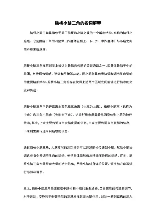 脑桥小脑三角的名词解释