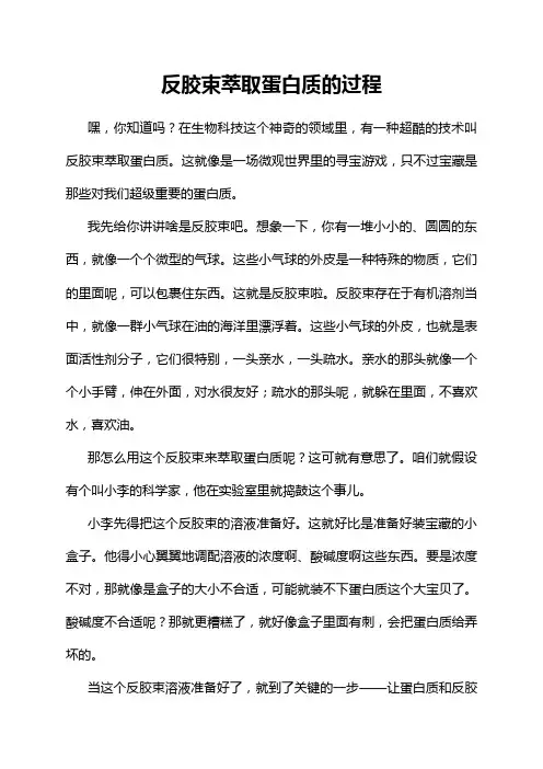 反胶束萃取蛋白质的过程