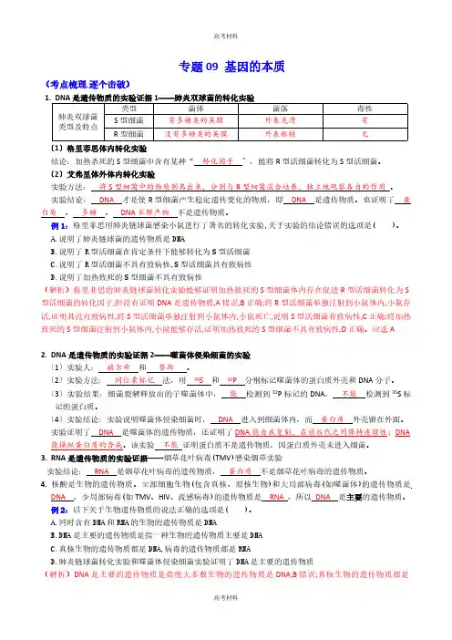 2023年基因的本质(二轮复习)备战高考生物必备知识大串讲(含答案)