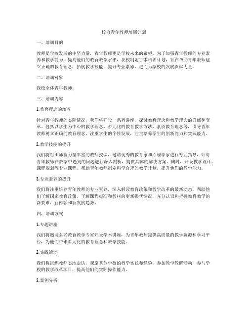 校内青年教师培训计划