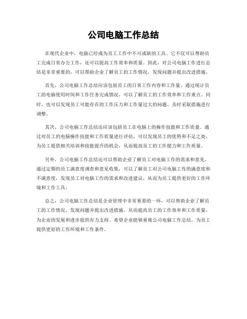 公司电脑工作总结