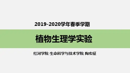 《植物生理学实验》实验04 植物的溶液培养和缺素培养