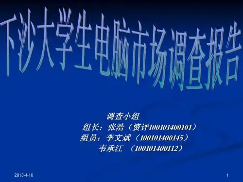 下沙高教园区大学生电脑市场调查报告