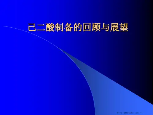 己二酸制备工艺详解PPT