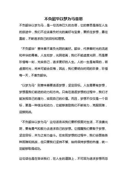 不负韶华以梦为马意思