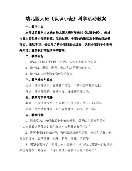 幼儿园大班《认识小麦》科学活动教案