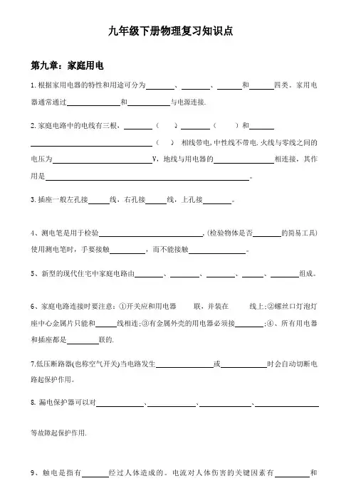 教科版物理九年级下册复习知识点复习   Word版