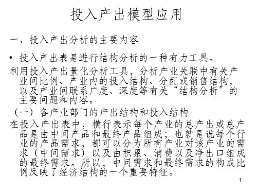 投入产出模型应用