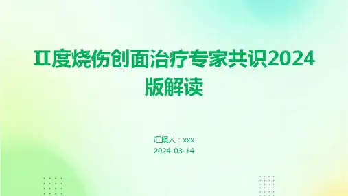 Ⅱ度烧伤创面治疗专家共识2024版解读PPT课件
