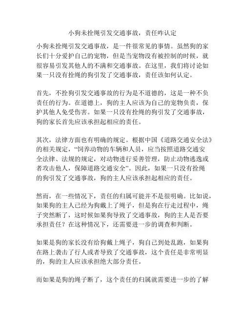 小狗未拴绳引发交通事故,责任咋认定