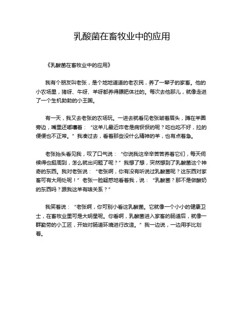 乳酸菌在畜牧业中的应用