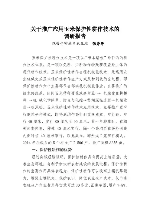 关于玉米保护性耕作技术推广应用情况的调研报告