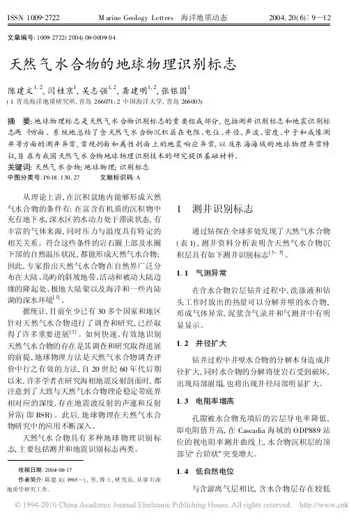 天然气水合物的地球物理识别标志