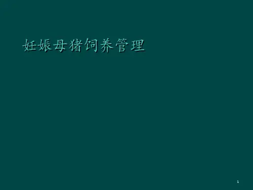 妊娠母猪饲养管理 ppt课件