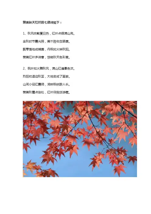 写秋天枫叶的七律