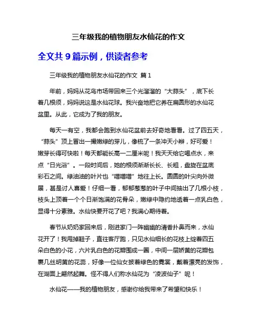三年级我的植物朋友水仙花的作文
