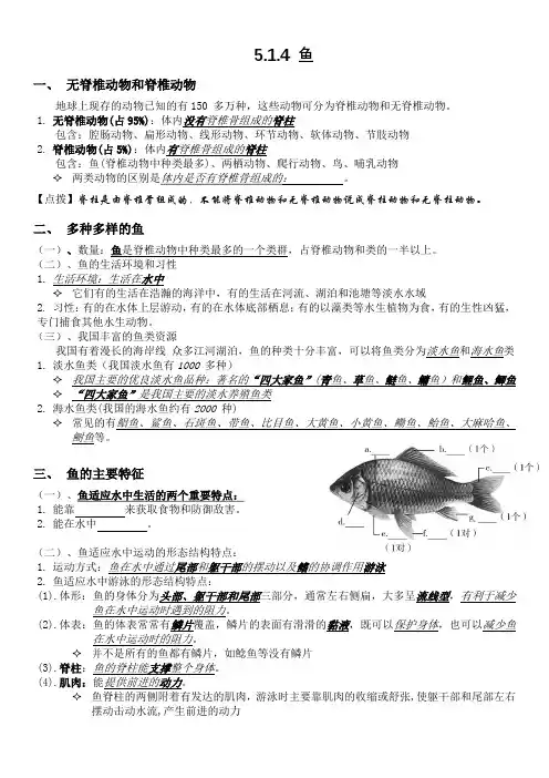 第四节鱼知识梳理人教版生物八年级上册