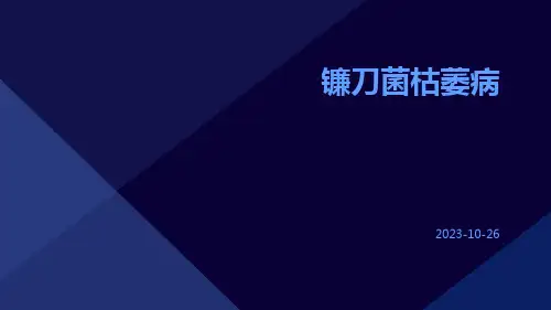 镰刀菌枯萎病