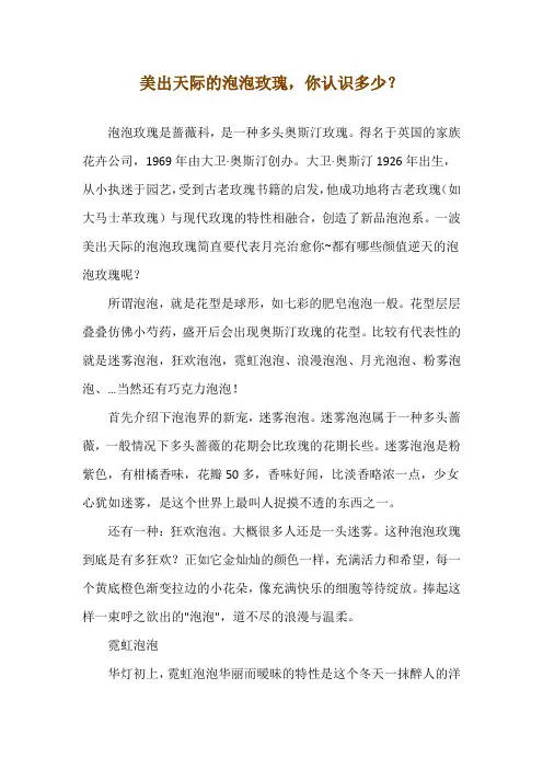 美出天际的泡泡玫瑰,你认识多少？
