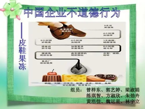 管理学-中国企业不道德行为PPT
