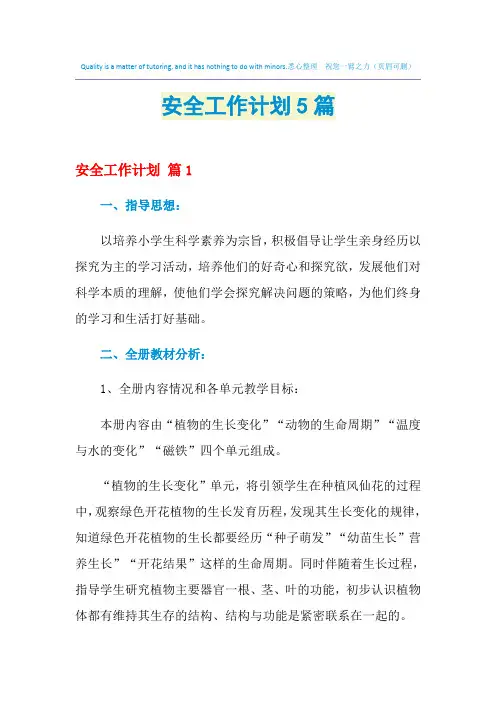 2021年安全工作计划5篇