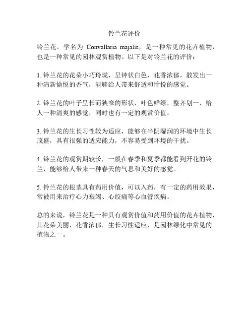 铃兰花评价