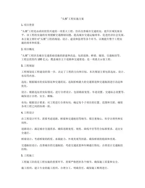 “头雁”工程实施方案
