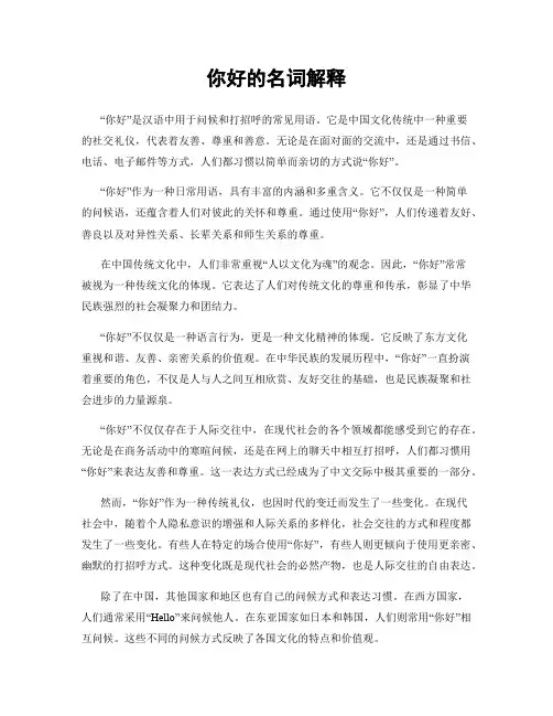 你好的名词解释