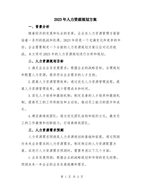 2023年人力资源规划方案
