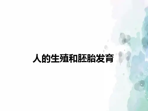 冀少版-生物-八年级下册-人的生殖和胚胎发育 精品课件 冀少版
