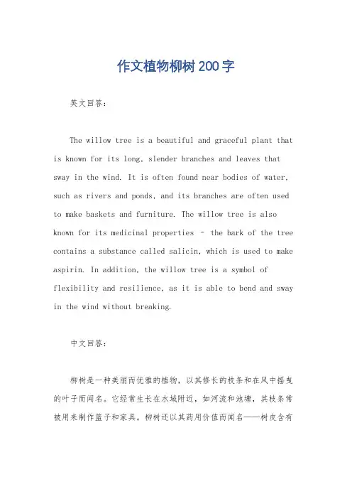 作文植物柳树200字