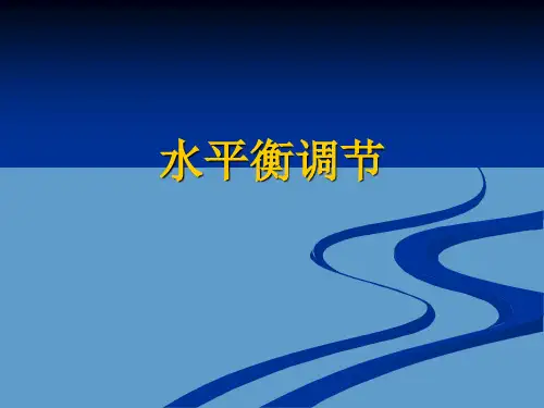 水平衡调节研究学习课件