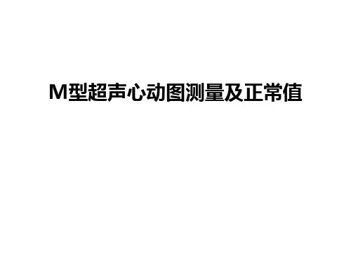 最新M型超声心动图测量及正常值