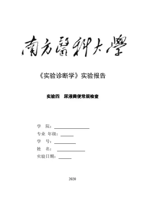 尿液粪便常规检查实验报告