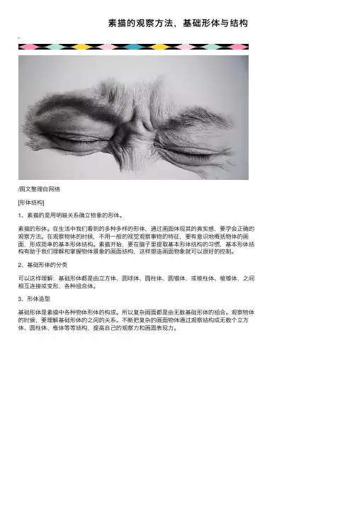 素描的观察方法，基础形体与结构
