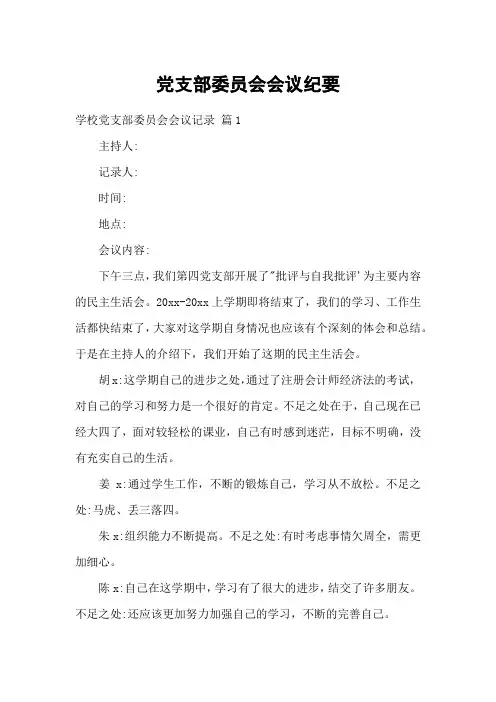 党支部委员会会议纪要