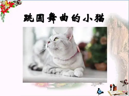 跳圆舞曲的小猫 PPT优秀课件