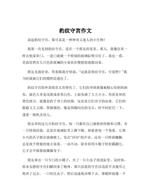 豹纹守宫作文