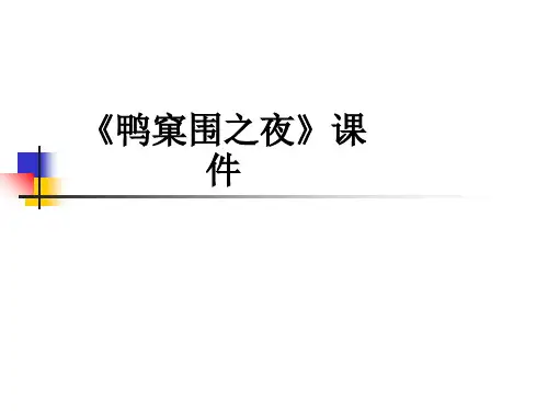 《鸭窠围之夜》ppt课件