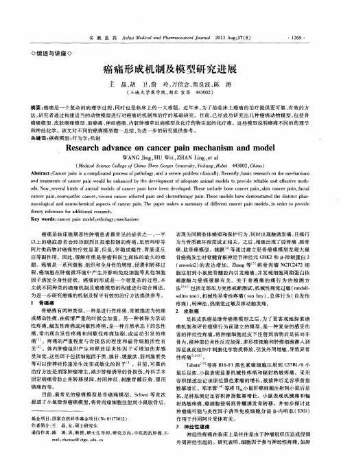 癌痛形成机制及模型研究进展