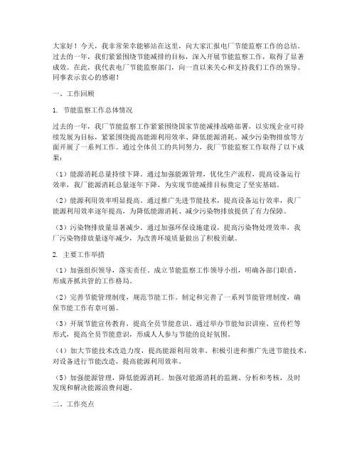 电厂节能监察总结发言稿