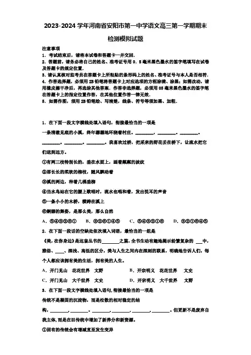2023-2024学年河南省安阳市第一中学语文高三第一学期期末检测模拟试题含解析