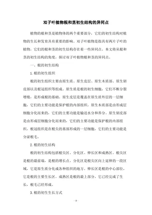 双子叶植物根和茎初生结构的异同点