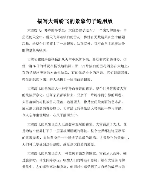 描写大雪纷飞的景象句子通用版