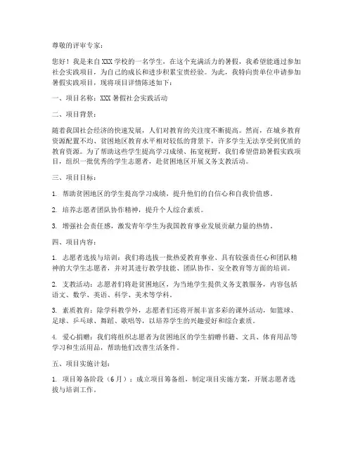暑假实践项目申请书模板