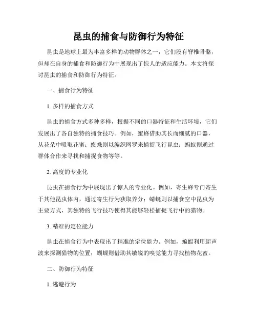 昆虫的捕食与防御行为特征