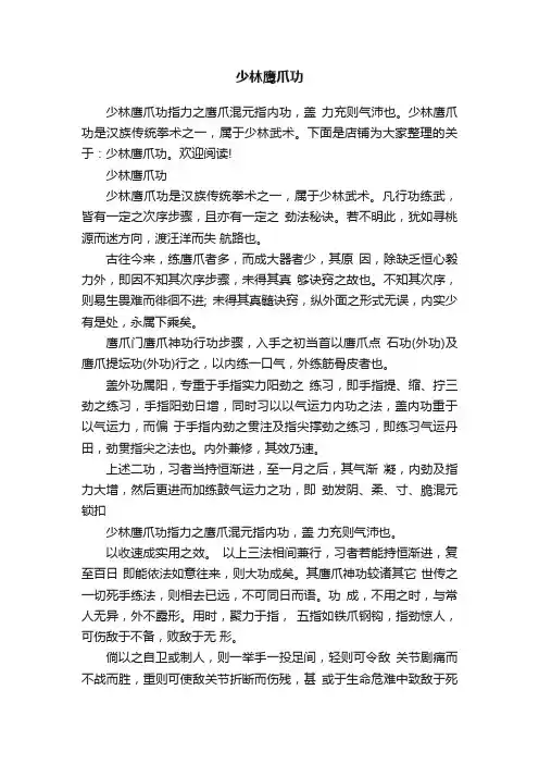 少林鹰爪功